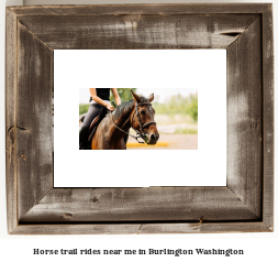 horse trail rides near me in Burlington, Washington